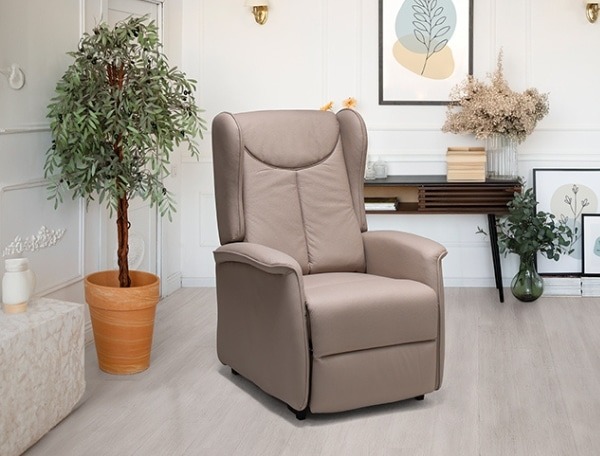 fauteuil-releveur-2-moteurs
